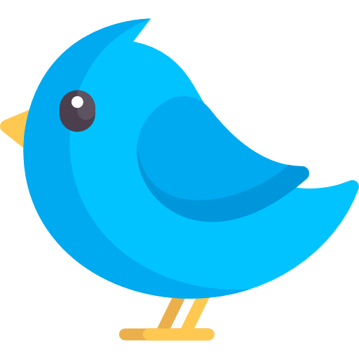 Bird Cards